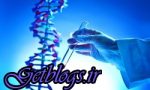 ژندرمانی روشی جهت درمان سلولهای آسیبدیده کلیه